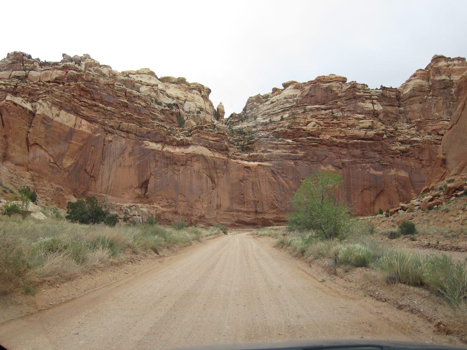 If you lived here, you just have to study geology.  Why are these shapes here, in these colors?